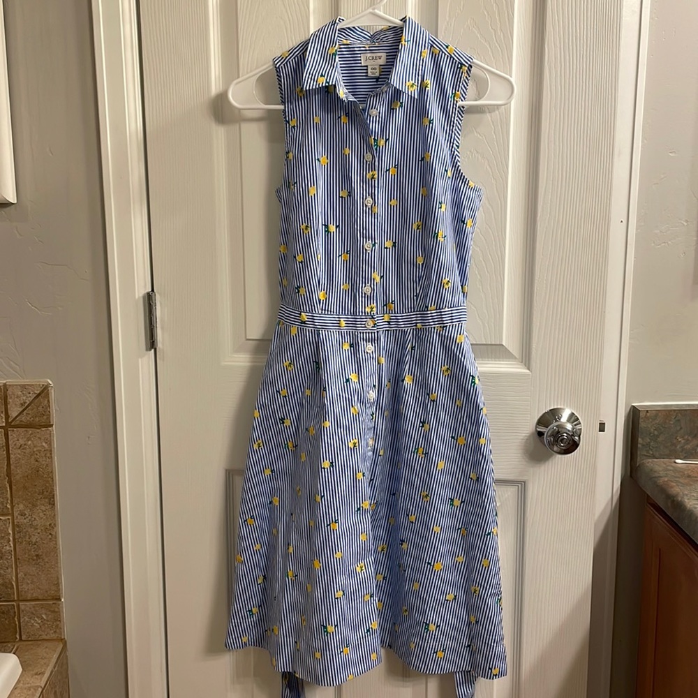 J. Crew Blue and White Striped Sleeveless Dress 00